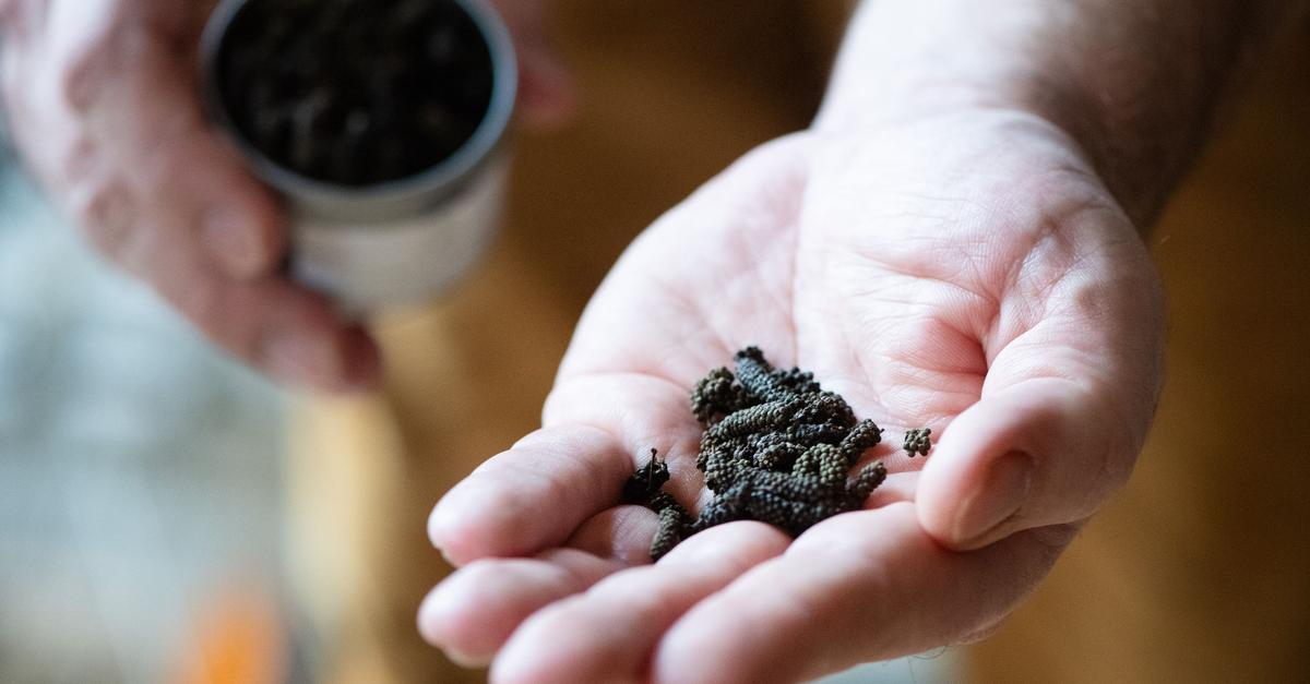 Schokoladenpfeffer-gibt-Dessert-und-Wild-eine-Kakaonote