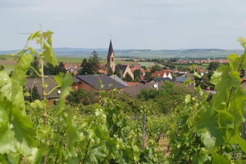 Der Weinort Siefersheim liegt inmitten desRebenmeeres der rheinhessischen Schweiz. Foto: Wolfgang Blum 