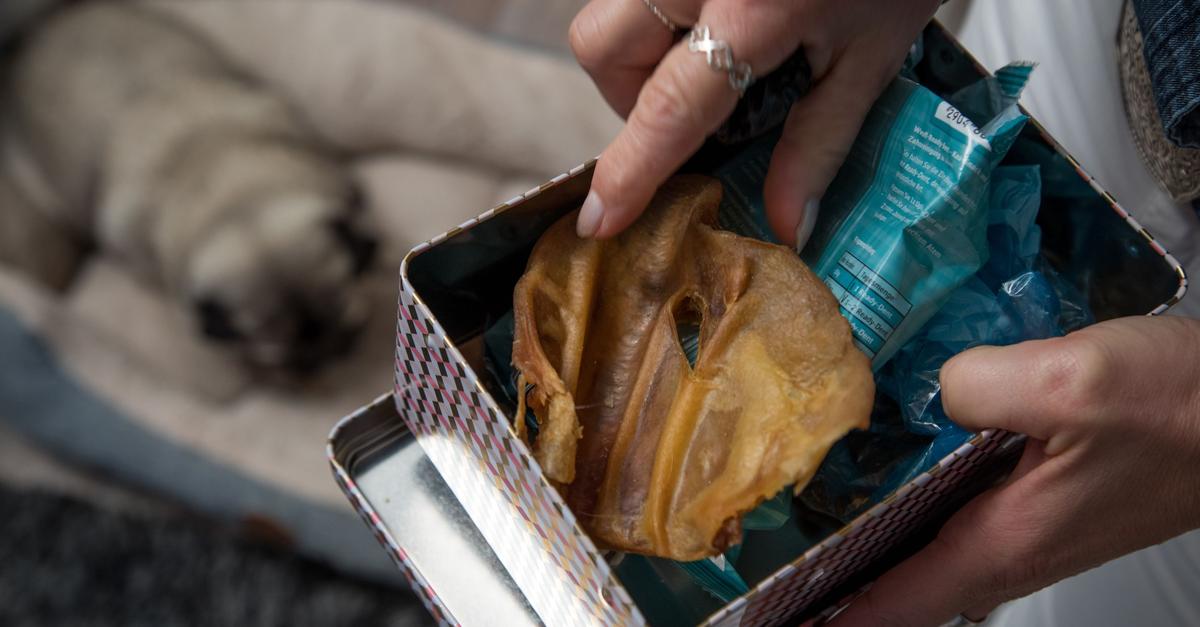 Keimgefahr-Bei-Natur-Kausnacks-f-r-Hunde-auf-Hygiene-achten