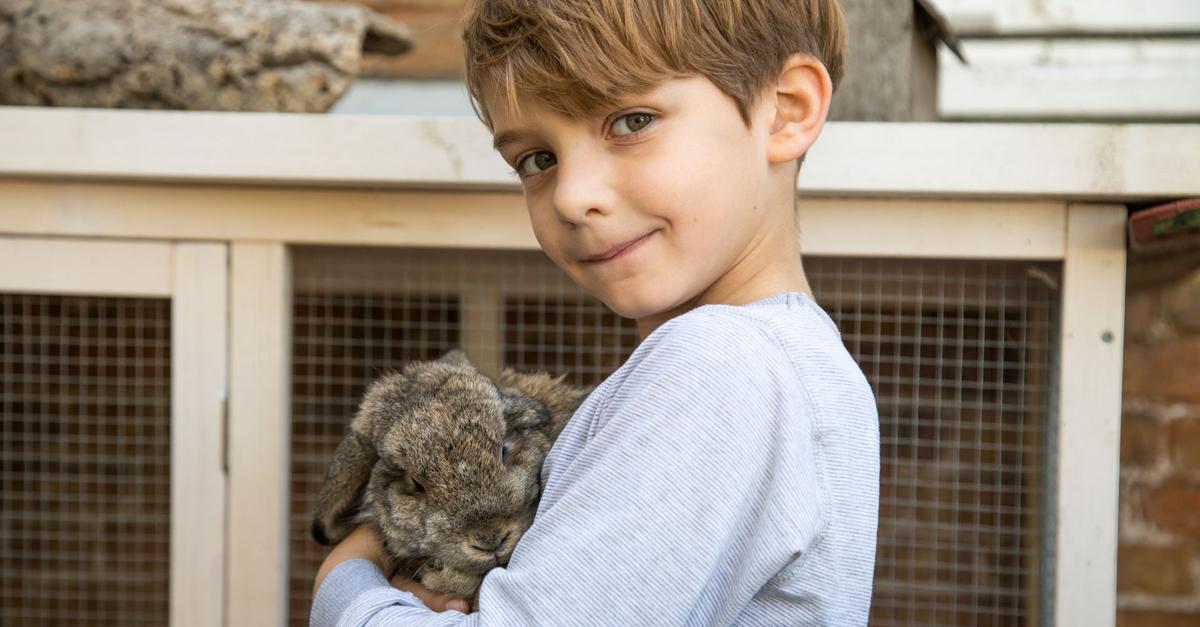 Haustierwunsch-bei-Kindern-worauf-Familien-achten-sollten