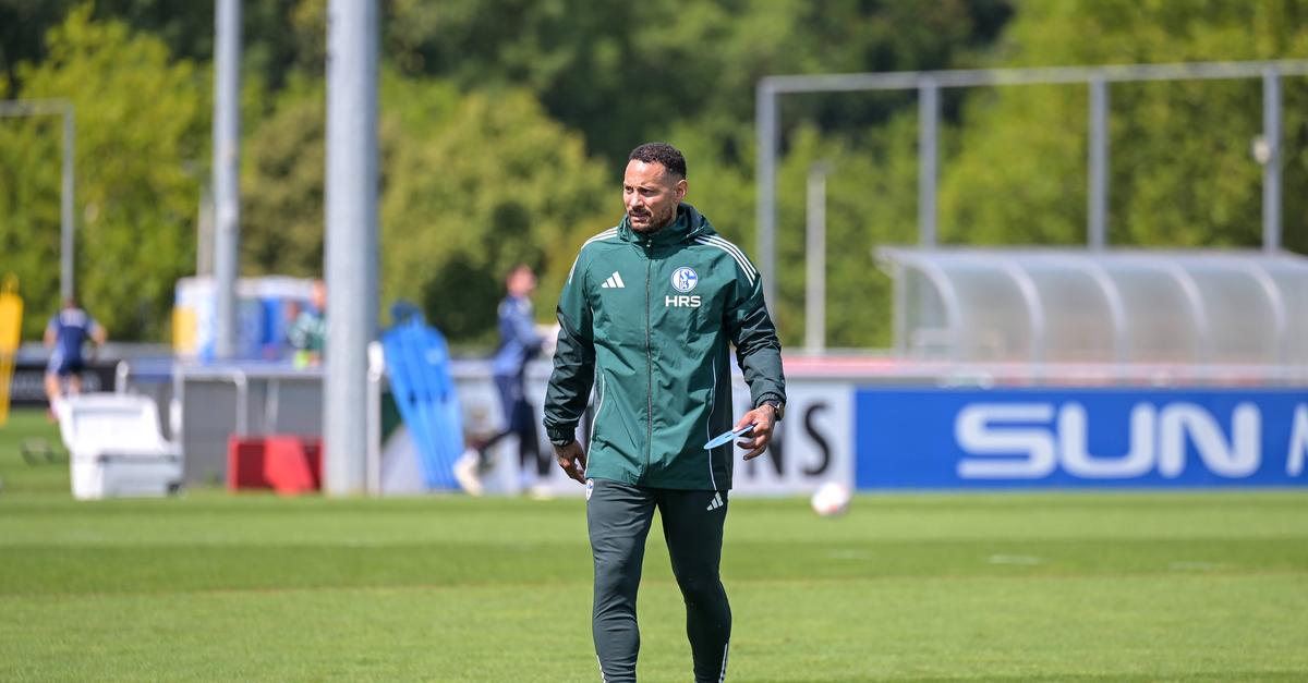 Was-Jermaine-Jones-SGE-Neuzugang-Younes-Ebnoutalib-zutraut