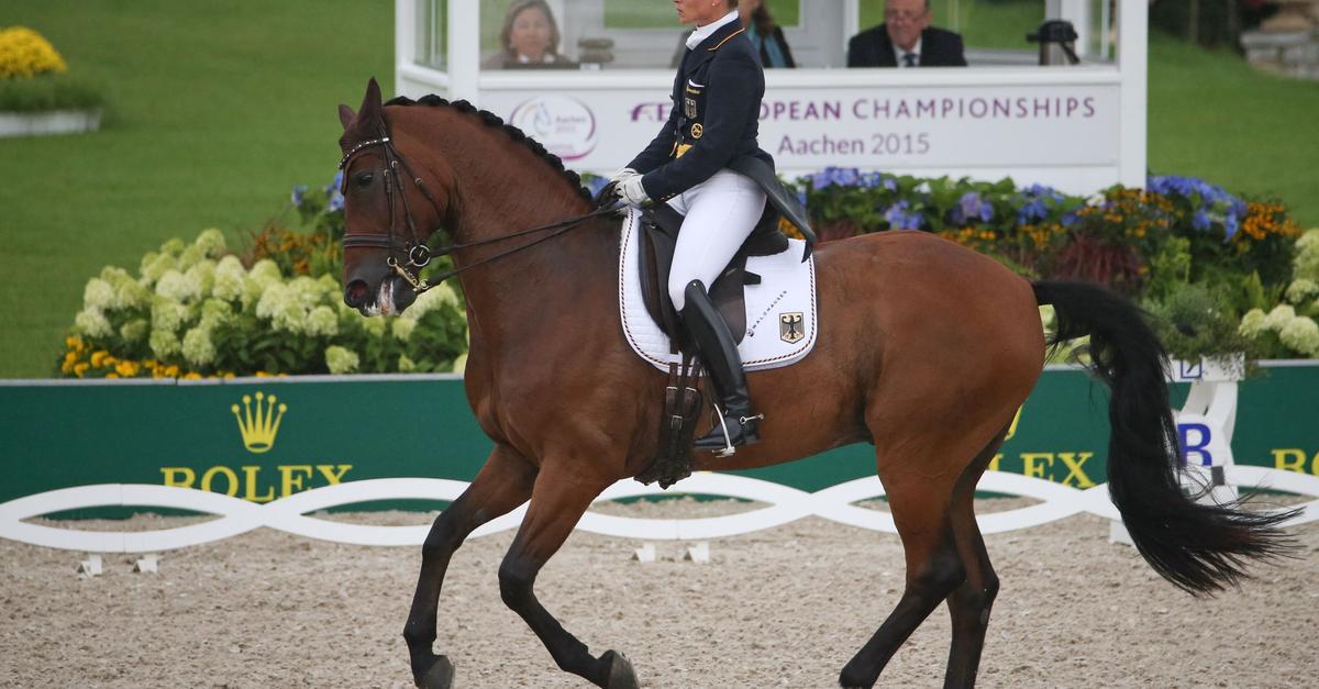 Werths-Pferd-Don-Johnson-eingeschl-fert