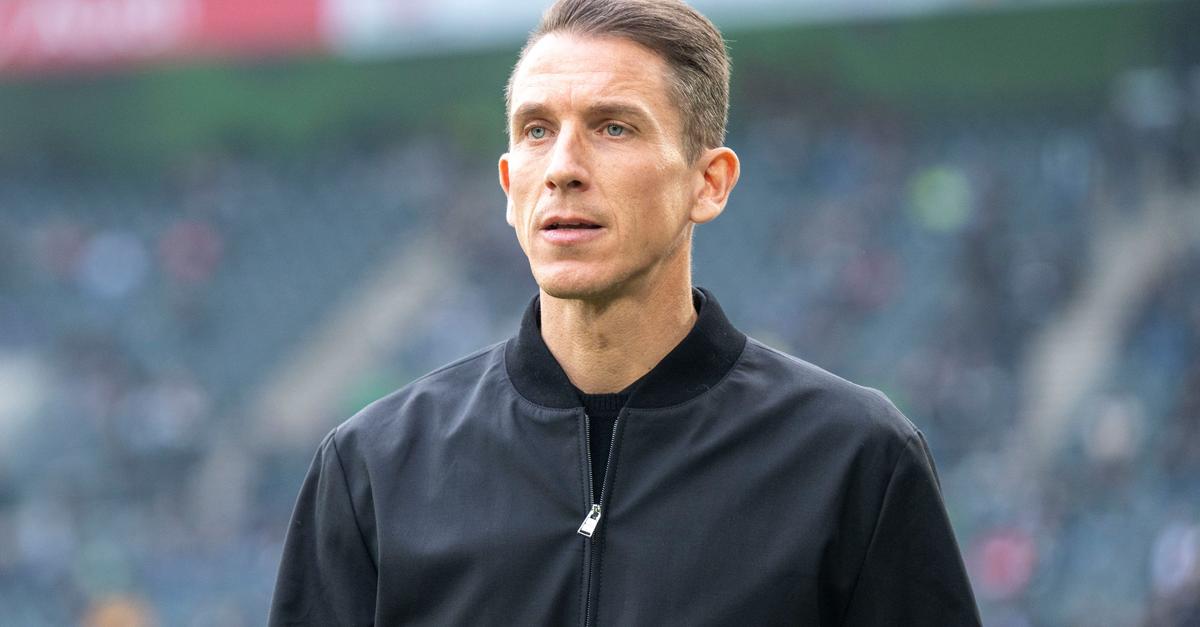 Daniel-Bauer-wird-Cheftrainer-des-VfL-Wolfsburg
