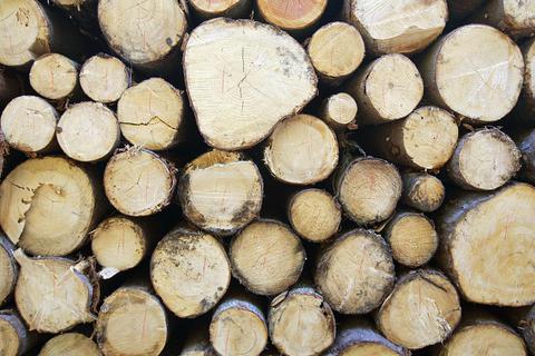 Die Nachfrage nach Brennholz ist enorm gestiegen. Symbolfoto: dpa